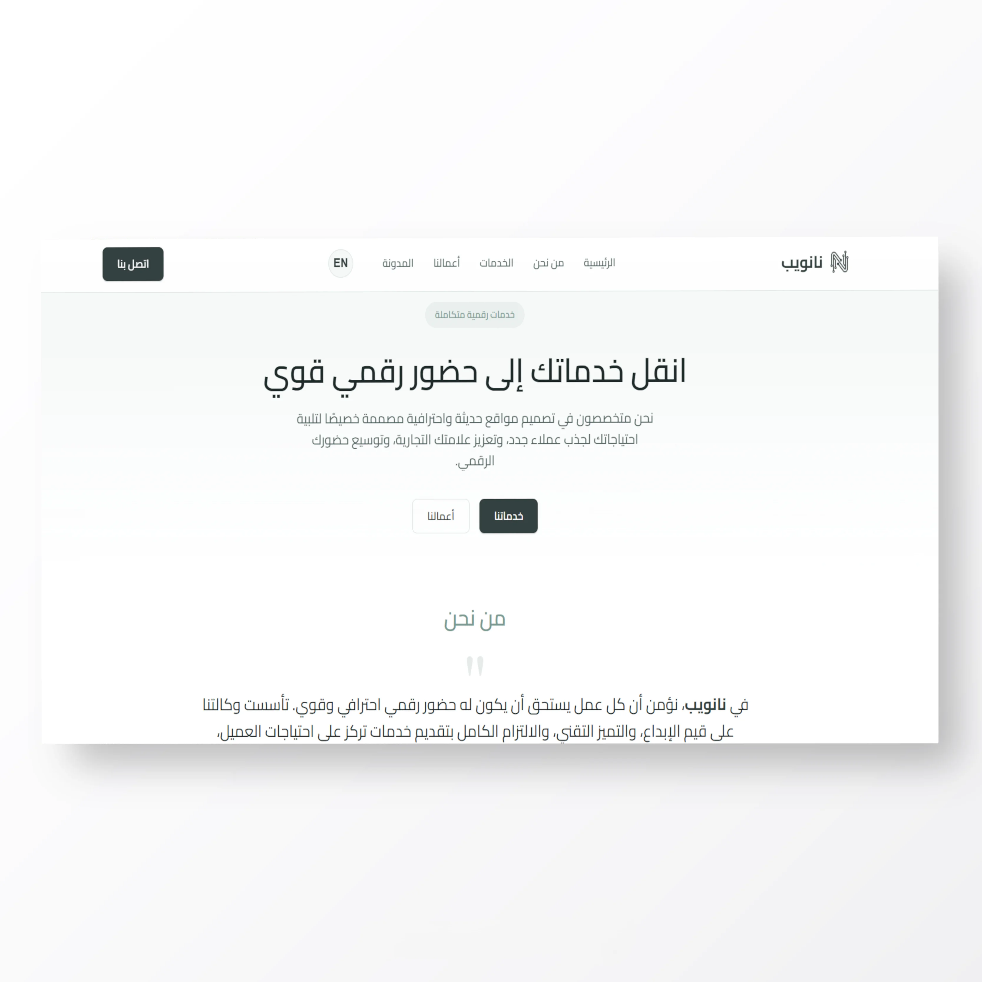 NanoWeb